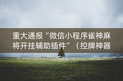 重大通报“微信小程序雀神麻将开挂辅助插件”（控牌神器)
