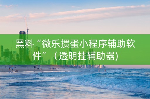黑料“微乐掼蛋小程序辅助软件”（透明挂辅助器)