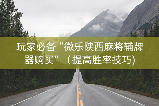 玩家必备“微乐陕西麻将辅牌器购买”（提高胜率技巧)