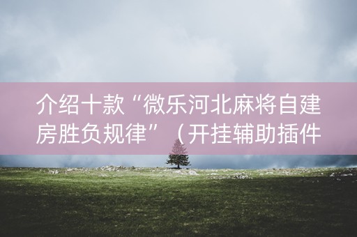 介绍十款“微乐河北麻将自建房胜负规律”（开挂辅助插件)