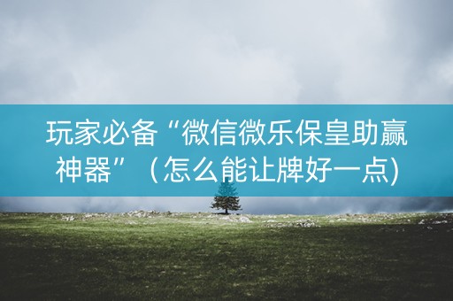 玩家必备“微信微乐保皇助赢神器”（怎么能让牌好一点)