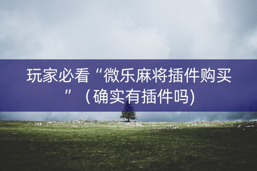 玩家必看“微乐麻将插件购买”（确实有插件吗)