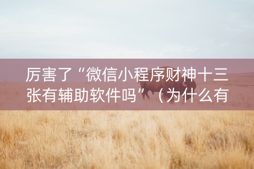 厉害了“微信小程序财神十三张有辅助软件吗”（为什么有人一直赢)