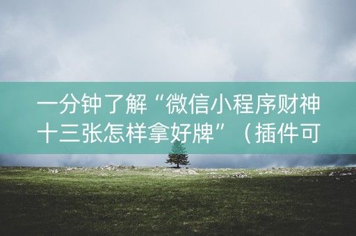 一分钟了解“微信小程序财神十三张怎样拿好牌”（插件可信吗)