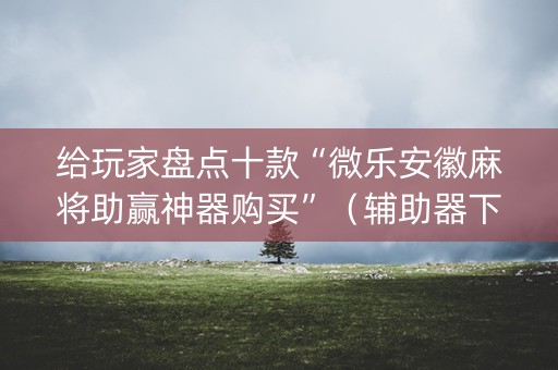 给玩家盘点十款“微乐安徽麻将助赢神器购买”（辅助器下载)