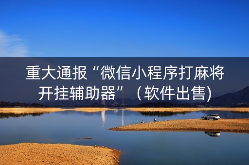 重大通报“微信小程序打麻将开挂辅助器”（软件出售)