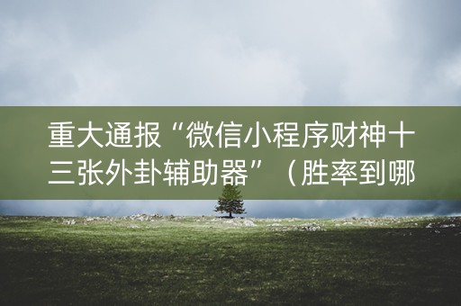 重大通报“微信小程序财神十三张外卦辅助器”（胜率到哪调)