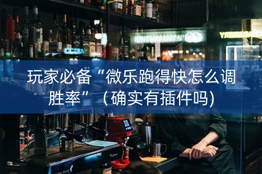 玩家必备“微乐跑得快怎么调胜率”（确实有插件吗)