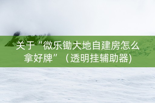 关于“微乐锄大地自建房怎么拿好牌”（透明挂辅助器)