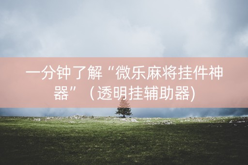 一分钟了解“微乐麻将挂件神器”（透明挂辅助器)
