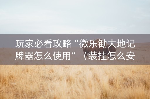 玩家必看攻略“微乐锄大地记牌器怎么使用”（装挂怎么安装)
