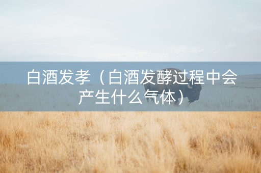 白酒发孝（白酒发酵过程中会产生什么气体）