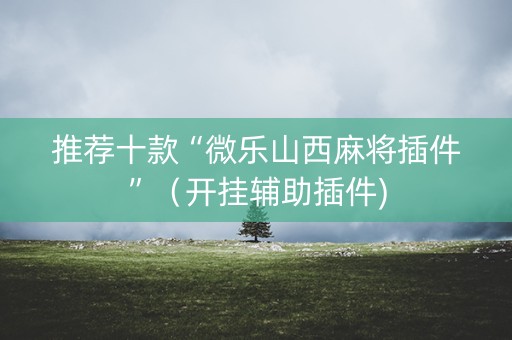 推荐十款“微乐山西麻将插件”（开挂辅助插件)