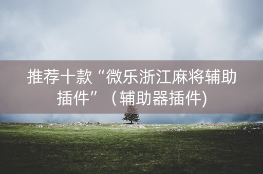 推荐十款“微乐浙江麻将辅助插件”（辅助器插件)