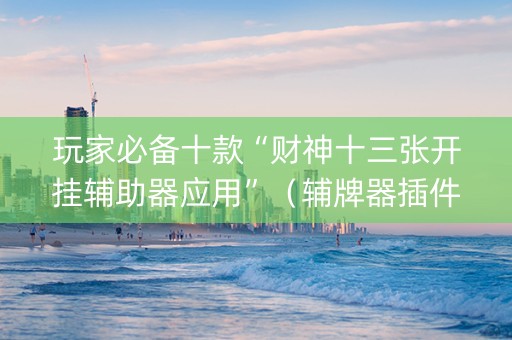 玩家必备十款“财神十三张开挂辅助器应用”（辅牌器插件购买)