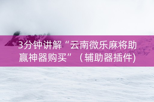 3分钟讲解“云南微乐麻将助赢神器购买”（辅助器插件)
