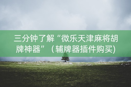 三分钟了解“微乐天津麻将胡牌神器”（辅牌器插件购买)