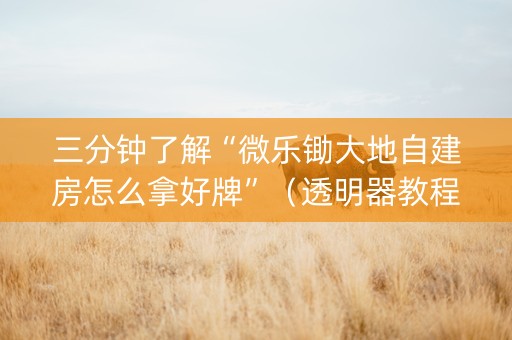 三分钟了解“微乐锄大地自建房怎么拿好牌”（透明器教程)