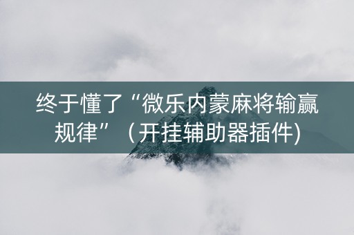 终于懂了“微乐内蒙麻将输赢规律”（开挂辅助器插件)