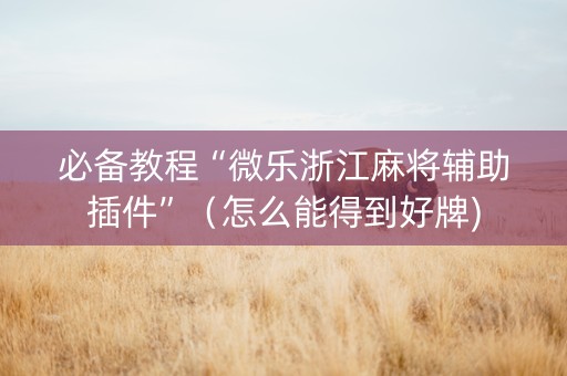必备教程“微乐浙江麻将辅助插件”（怎么能得到好牌)