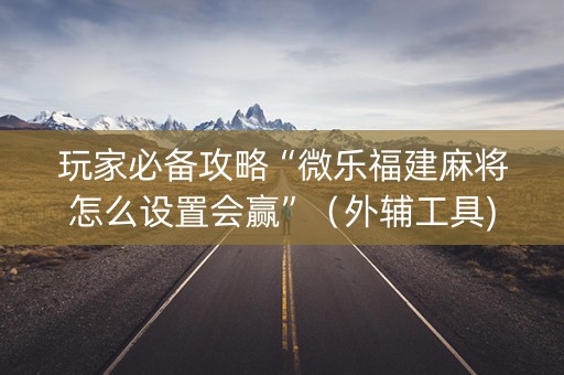 玩家必备攻略“微乐福建麻将怎么设置会赢”（外辅工具)