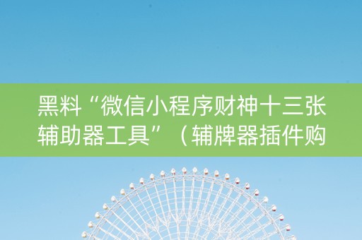 黑料“微信小程序财神十三张辅助器工具”（辅牌器插件购买)