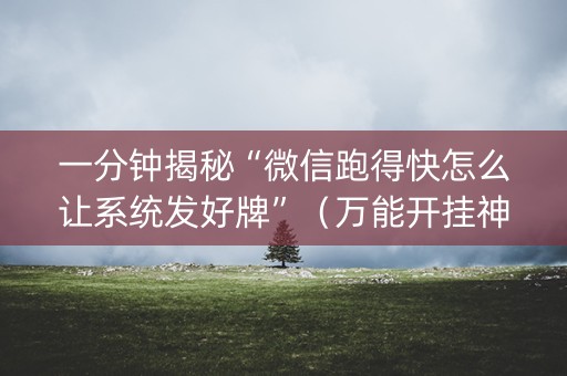 一分钟揭秘“微信跑得快怎么让系统发好牌”（万能开挂神器)