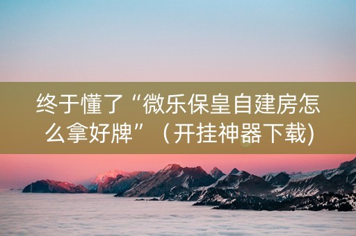 终于懂了“微乐保皇自建房怎么拿好牌”（开挂神器下载)