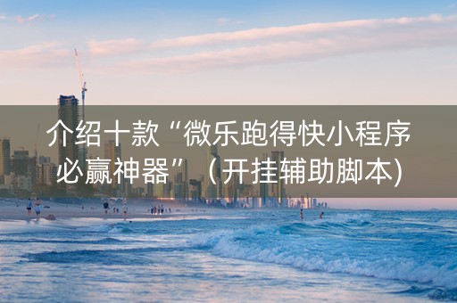 介绍十款“微乐跑得快小程序必赢神器”（开挂辅助脚本)