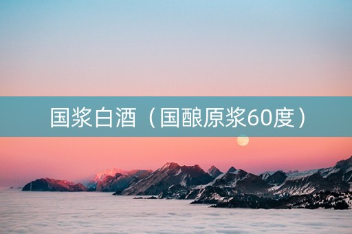 国浆白酒（国酿原浆60度）