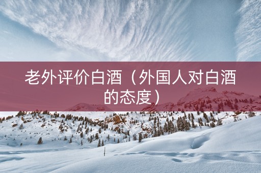 老外评价白酒（外国人对白酒的态度）