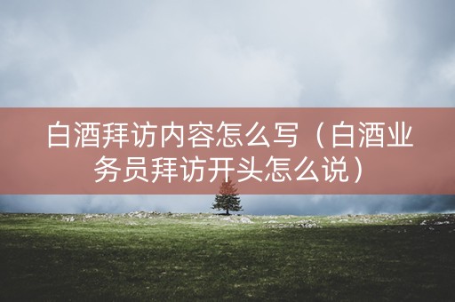 白酒拜访内容怎么写（白酒业务员拜访开头怎么说）
