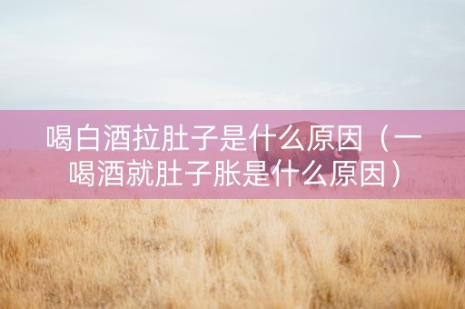 喝白酒拉肚子是什么原因（一喝酒就肚子胀是什么原因）