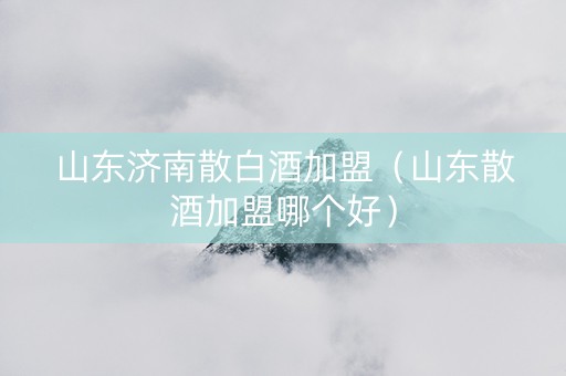 山东济南散白酒加盟（山东散酒加盟哪个好）