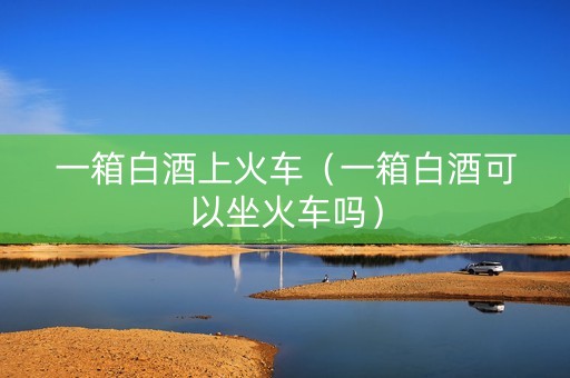 一箱白酒上火车（一箱白酒可以坐火车吗）