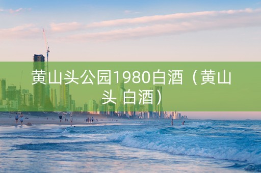黄山头公园1980白酒（黄山头 白酒）