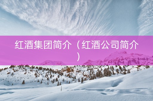 红酒集团简介（红酒公司简介）