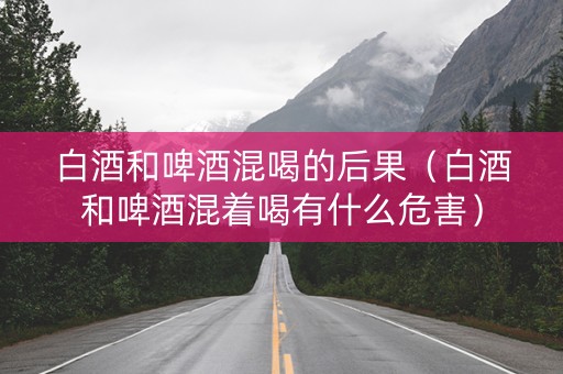 白酒和啤酒混喝的后果（白酒和啤酒混着喝有什么危害）