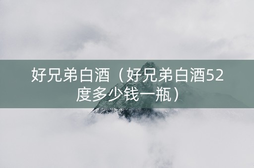 好兄弟白酒（好兄弟白酒52度多少钱一瓶）