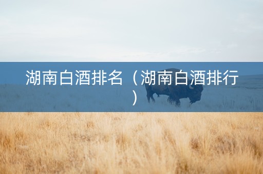 湖南白酒排名（湖南白酒排行）
