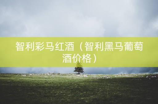 智利彩马红酒（智利黑马葡萄酒价格）
