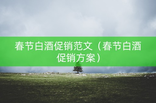 春节白酒促销范文（春节白酒促销方案）