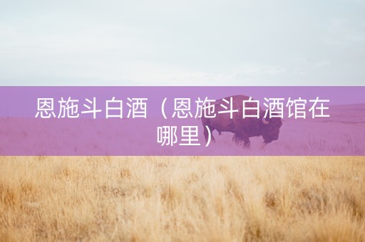 恩施斗白酒（恩施斗白酒馆在哪里）