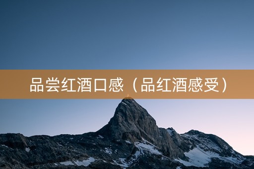 品尝红酒口感（品红酒感受）