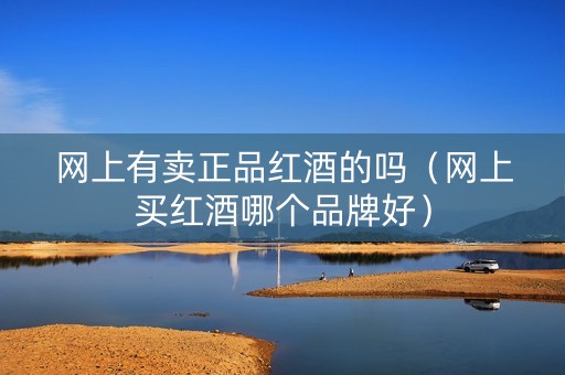 网上有卖正品红酒的吗（网上买红酒哪个品牌好）