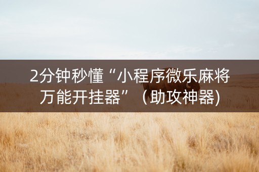 2分钟秒懂“小程序微乐麻将万能开挂器”（助攻神器)