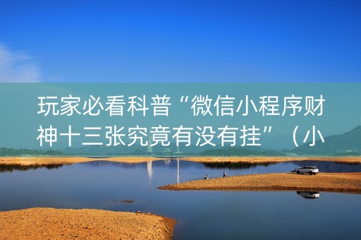 玩家必看科普“微信小程序财神十三张究竟有没有挂”（小程序辅助软件)