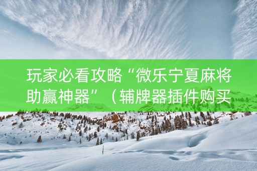 玩家必看攻略“微乐宁夏麻将助赢神器”（辅牌器插件购买)