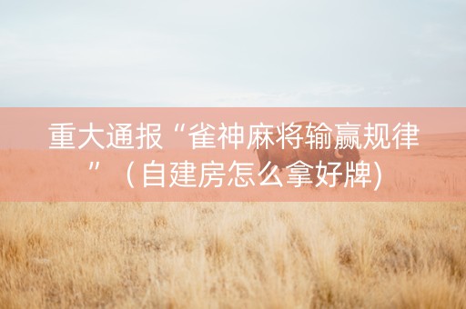 重大通报“雀神麻将输赢规律”（自建房怎么拿好牌)