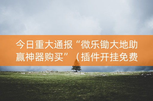 今日重大通报“微乐锄大地助赢神器购买”（插件开挂免费AI)